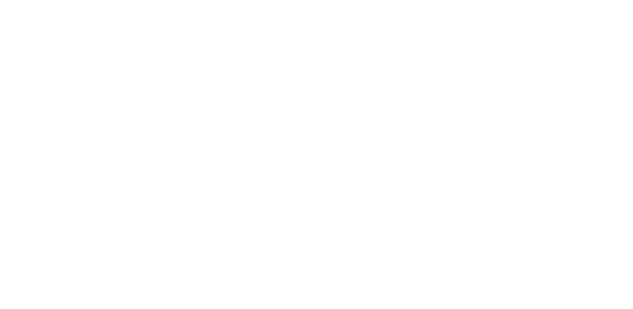 4-rossignol-logo-light.png