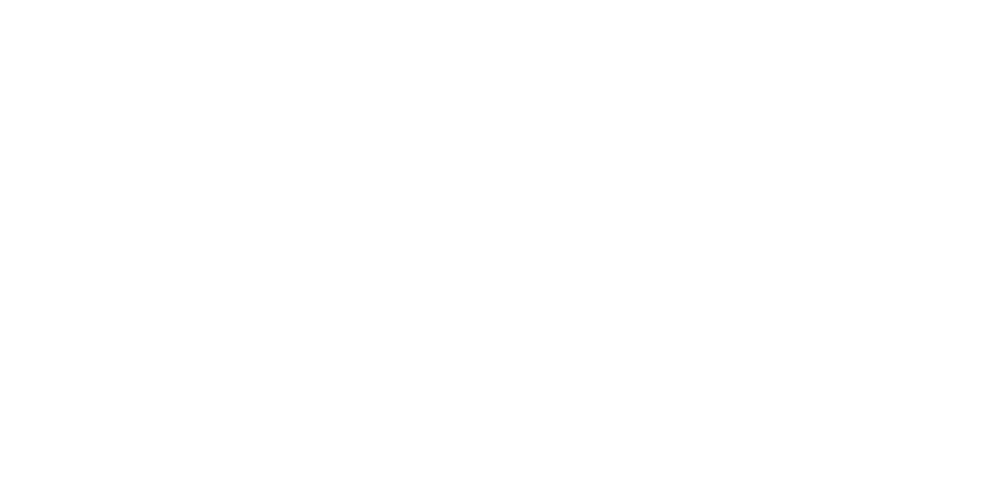 6-blizzard_tecnica-logo-900x440.png